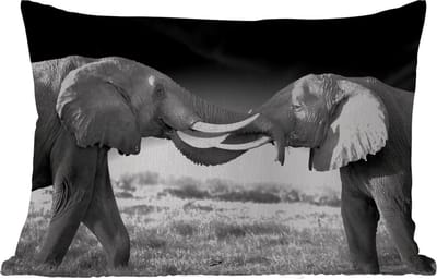 Buitenkussens - Tuin - Olifant - Dieren - Zwart wit - Portret - Landschap - 50x30 cm