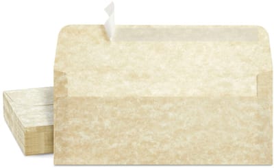 Dailygoods- Perkament Enveloppen 50 Stuks - Zelfklevend - 9 ½ x 4 ¼ Inch - Crèmekleurig - Retro Ontwerp - Stevig 90 GSM Papier