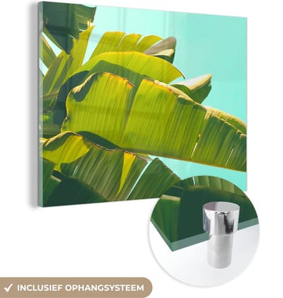 MuchoWow® Glasschilderij 40x30 cm - Schilderij acrylglas - Bananenblad - Bladeren - Tropisch - Zomer - Foto op glas - Schilderijen