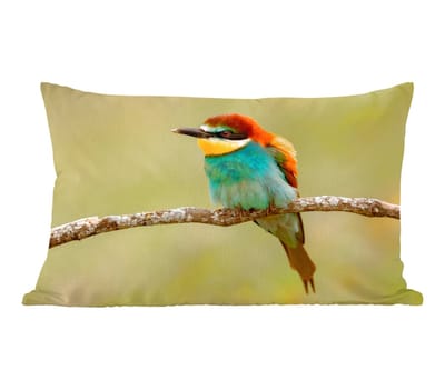 Sierkussens - Kussentjes Woonkamer - 50x30 cm - Vogel - Bijeneter - Dieren