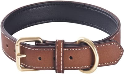 Gevoerde hondenhalsband van echt leer - Comfortabele en duurzame halsband voor kleine, middelgrote en grote honden