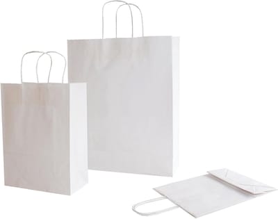 Papieren Draagtassen - Met Koord - Winkelen Organiseren - Robuust Scheurvast - 15x20 cm - Wit