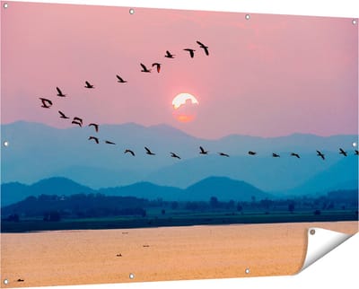 Gards Tuinposter Silhouet van Zwerm Vogels bij Zonsondergang - 150x100 cm - Tuindoek - Tuindecoratie - Wanddecoratie buiten - Tuinschilderij