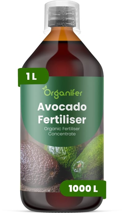 Vloeibare Meststof Voor Avocado 1 L Voor 1000 L - Npk 2-1-8 - Avocadobomen - Krachtige Groei - Sterke Takken - Bladgezondheid - Kleurintensiteit - Kroonontwikkeling - Sterk Wortelstelsel - Nutriëntenopname - Herstel Na Snoei - Organifer