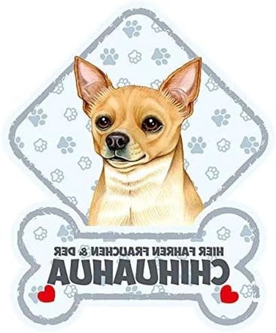 Hondenbord Auto - Dierensticker Raam - Veilig Reizen - Inclusief Zuignappen - 20 x 16 cm - Wit