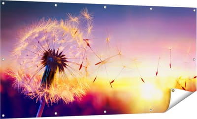 Gards Tuinposter Paardenbloem tijdens Zonsondergang - 160x80 cm - Tuindoek - Tuindecoratie - Wanddecoratie buiten - Tuinschilderij