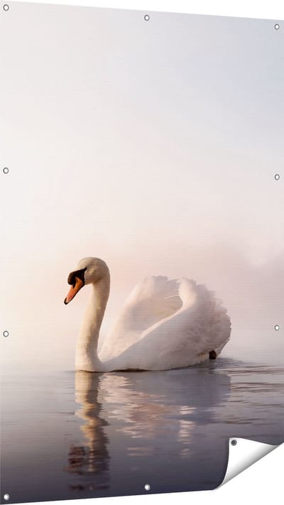 Gards Tuinposter Zwaan in het Water tijdens de Mist - 100x150 cm - Tuindoek - Tuindecoratie - Wanddecoratie buiten - Tuinschilderij
