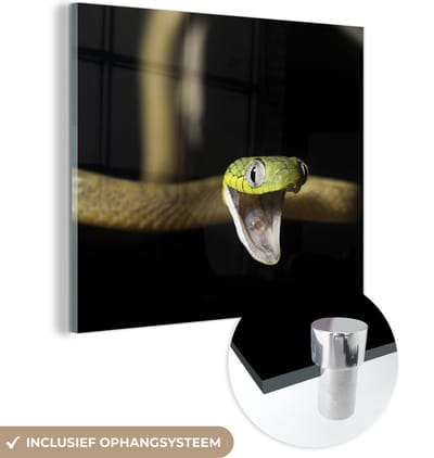 MuchoWow® Glasschilderij 50x50 cm - Schilderij acrylglas - Slang - Dier - Zwart - Foto op glas - Schilderijen