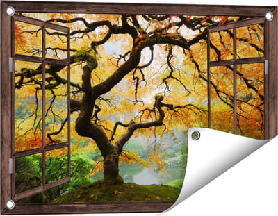 Gards Tuinposter Doorkijk Oude Knoestige Boom - 60x40 cm - Tuindoek - Tuindecoratie - Wanddecoratie buiten - Tuinschilderij