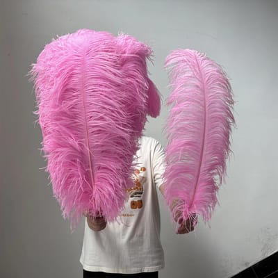 10 STUKS Licht Kaki Grote Struisvogelveren Bulk 15-60CM Lang Natuurlijke Pluizige Struisvogelveren voor Bruiloft Restaurant Vaas Decoratie 25-30cm 10-12inch