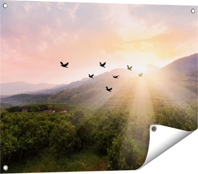 Gards Tuinposter Silhouet Zwerm Vogels bij Zonsondergang - 80x60 cm - Tuindoek - Tuindecoratie - Wanddecoratie buiten - Tuinschilderij