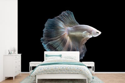 Behang - Fotobehang Vis - Staart - Wit - Breedte 330 cm x hoogte 220 cm