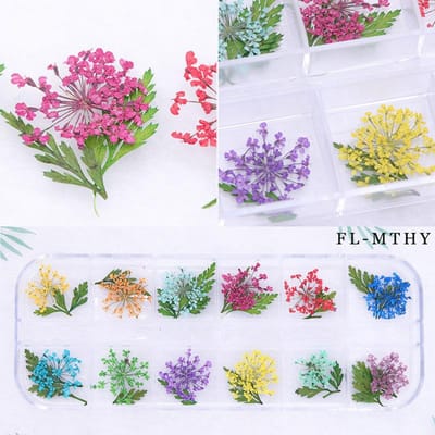 Nagelkunst Natuurlijke Gedroogde Bloemen Kant Driedimensionale Plant 12 Vaks Doos Nagel Accessoires pink