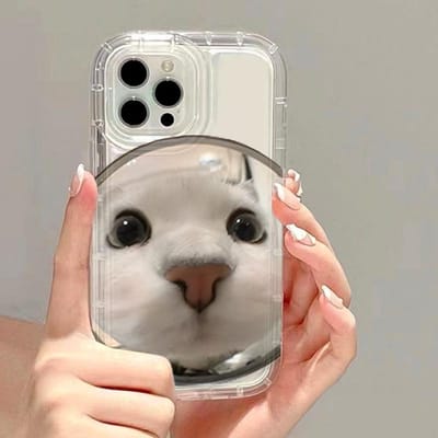 Leuke Kat Telefoonhoesje Voor iPhone 13 Hoesje iPhone 16 Pro 11 12 14 15 Pro Max 7 8 16 Plus XR XS X SE Transparant Zacht Funda Airbag Hoes For iPhone 16 Plus