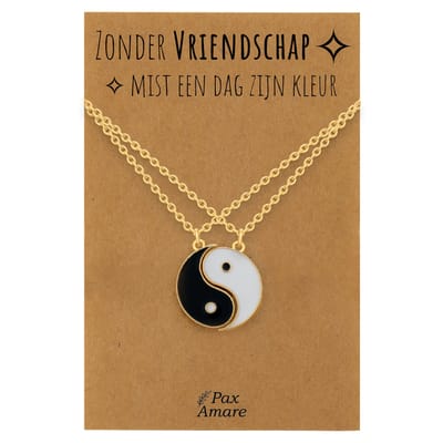 BFF Ketting voor 2 'Zonder Vriendschap mist een dag zijn kleur' - Magnetische Yin Yang - Vriendschapsketting op Cadeau Kaartje - 45cm + 5cm verstelbaar - Goudkleurig - Best Friends Hanger - Pax Amare