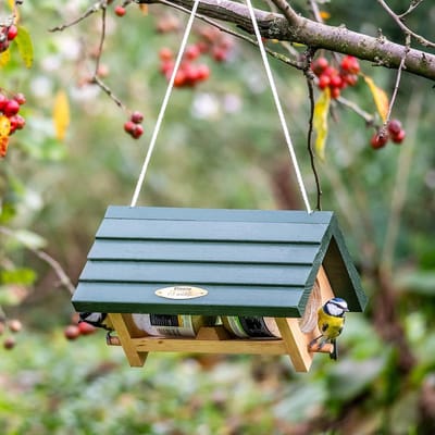 CJ Wildlife Dubbele Pindakaaspothouder voor Vogels - Lifford - Vogelpindakaas Houder - Hangend Vogelvoederhuisje Pindakaas - Hout