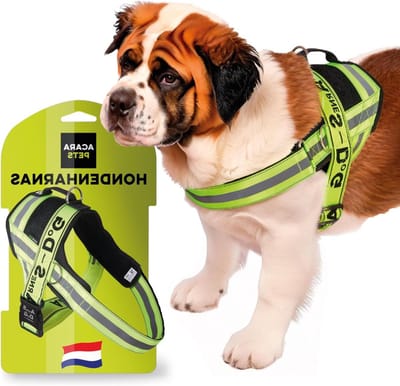 Hondentuig - Hondenriem - Veilig Wandelen - Nekontlastend Ontwerp - Maat XL - Fluo Geel