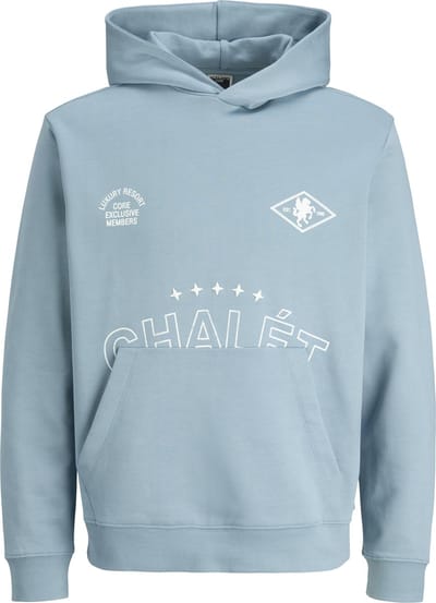 JACK&JONES - JCOCREST PRINT SWEAT HOOD - Heren - Sweaters