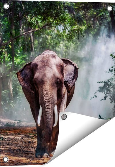 Gards Tuinposter Olifant in het Bos - 40x50 cm - Tuindoek - Tuindecoratie - Wanddecoratie buiten - Tuinschilderij