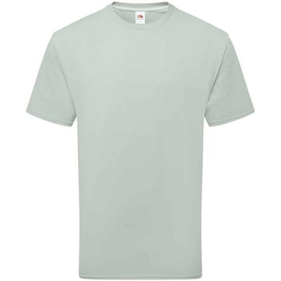Fruit of the Loom Katoenen uniseks T-shirt voor volwassenen (Salie)