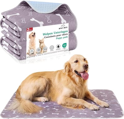 Herbruikbare Puppyonderleggers - Wasbare en Waterdichte Mat voor Honden en Katten - 60 x 90 cm - 2 Stuks