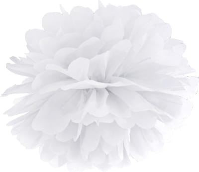 Wit Pompom Decoratie 25cm Wit