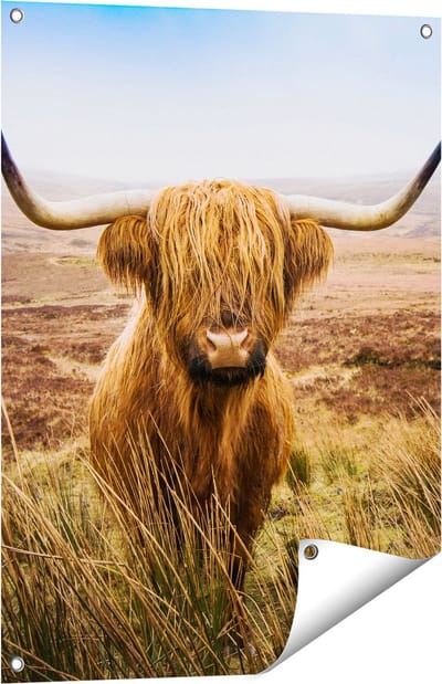 Gards Tuinposter Schotse Hooglander Koe in het Veld - 60x80 cm - Tuindoek - Tuindecoratie - Wanddecoratie buiten - Tuinschilderij