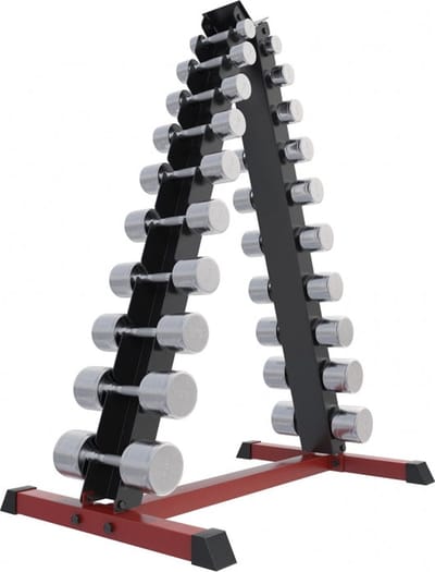 Gorilla Sports Dumbell rek met 110 kg Chrome Halters - Opslag rack met 20 Gewichten