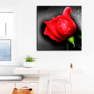 Volledige diamant schilderij Rode roos schilderij bloemen DIY 5D diamant borduurwerk 30x30CM