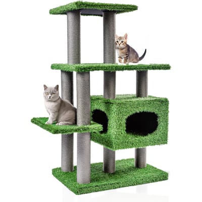 Canadian Cat Company krabpaal Parker groen voor katten