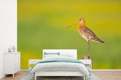 Behang - Fotobehang Vogel - Dieren - Grutto - Paal - Groen - Breedte 420 cm x hoogte 280 cm