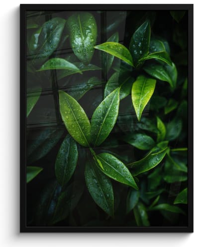 Poster in lijst - Fotolijst 60x80 cm - Posters - Bladeren - Regendruppels - Licht - Groen - Posterlijst zwart - Decoratie - Wanddecoratie woonkamer - Muurdecoratie slaapkamer