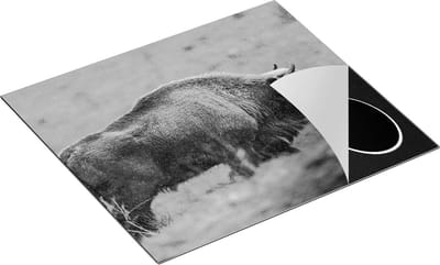 Chefcare Inductie Beschermer Bizon in het Gras - Zwart Wit - 60x50 cm - Afdekplaat Inductie - Kookplaat Beschermer - Inductie Mat