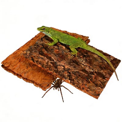 Dailygoods - 3-delige terrarium-corkrinen-achtergrondplaat, reptielen, aquarium, boom, achtergrond, wanddecoratie, leefruimte, klimmatten, decoratie voor schildpad, hagedis, kikker