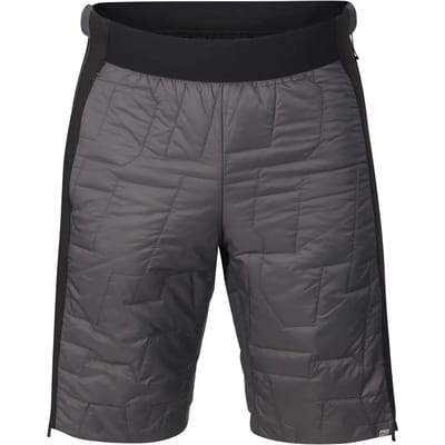 Alpine Pro Coral Korte Broek Grijs XL Man