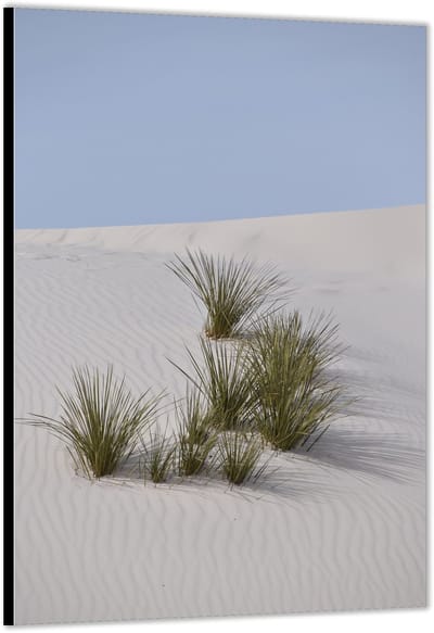 KuijsFotoprint - Schilderij - Helmgras In De Duinen - Groen, Blauw En Beige - 200 X 100 Cm