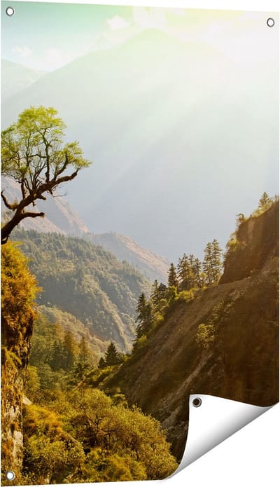 Gards Tuinposter Bos in de Bergen met Zonneschijn - Kleur - 60x90 cm - Tuindoek - Tuindecoratie - Wanddecoratie buiten - Tuinschilderij