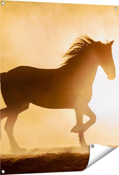 Gards Tuinposter Silhouet van een Paard - 80x100 cm - Tuindoek - Tuindecoratie - Wanddecoratie buiten - Tuinschilderij