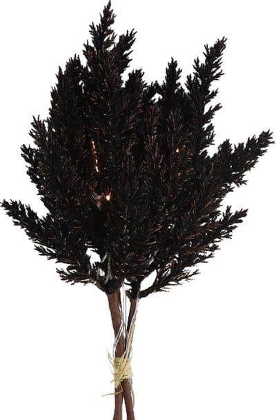 Non-branded Decoratietak Astilbe Led 25,4 Cm Hout/veren Zwart