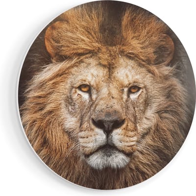 Artaza Forex Muurcirkel Leeuw - Leeuwenkop - Kleur - 70x70 cm - Wandcirkel - Rond Schilderij - Wanddecoratie Cirkel - Muurdecoratie
