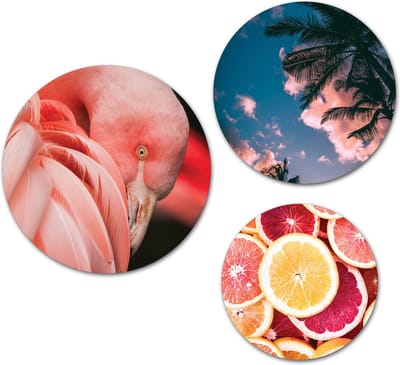 Forex Muurcirkel Set -  Set Flamingo - Set van 3 Wandcirkels met Ophangsystemen - 20x25x30