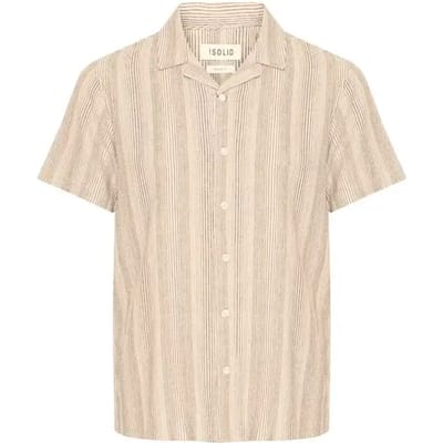 Shirt Solid Paick
