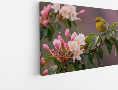 Saammp Canvas Schilderij - Vogel met Bloesem - Dieren - Natuur - 30x20 - Foto op canvas - Wanddecoratie - Muurdecoratie Woonkamer - Kantoor Decoratie