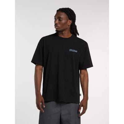 Dickies T-shirt - FAIRLAWN TEE - S tot XXL - voor Mannen - zwart