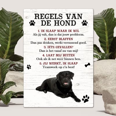Spreuken - Labrador zwart - Regels Van De Hond - Spreuken Bordjes - Spreukenbord - Tekstborden - Cadeau - Hondenras