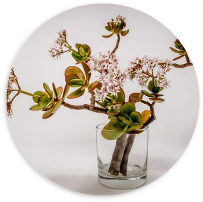 Forex Wandcirkel - Vaas met Bloemstuk - 100x100cm Foto op Wandcirkel (met ophangsysteem)