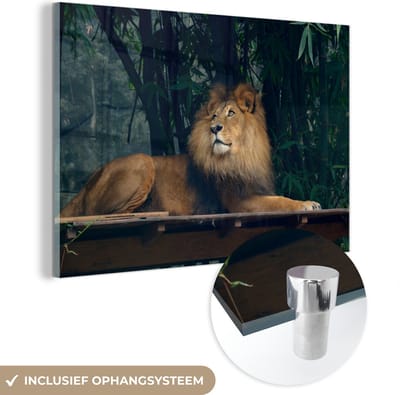 MuchoWow® Glasschilderij 60x40 cm - Schilderij acrylglas - Leeuw - Bos - Wild - Foto op glas - Schilderijen