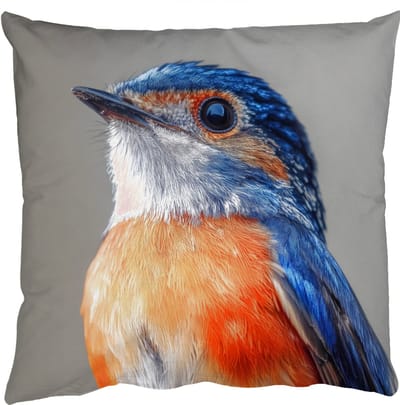 Sierkussens - Kussentjes Woonkamer - 50x50 cm - Kleurrijk - Vogeltje - Veren - Blauw
