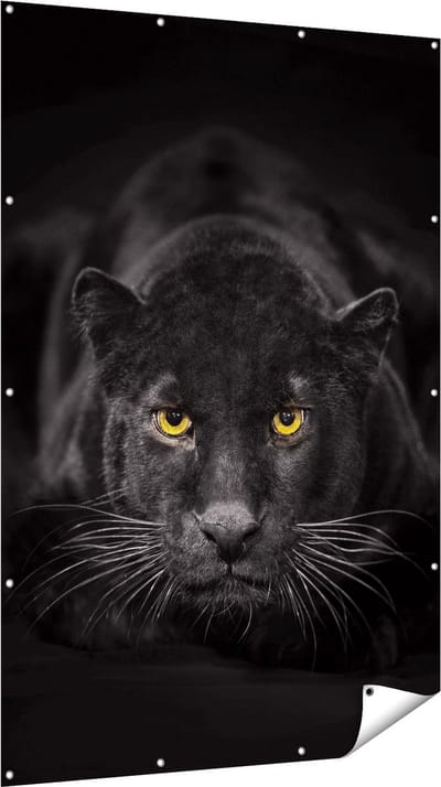 Gards Tuinposter Zwarte Panter met Oranje Ogen - 120x180 cm - Tuindoek - Tuindecoratie - Wanddecoratie buiten - Tuinschilderij