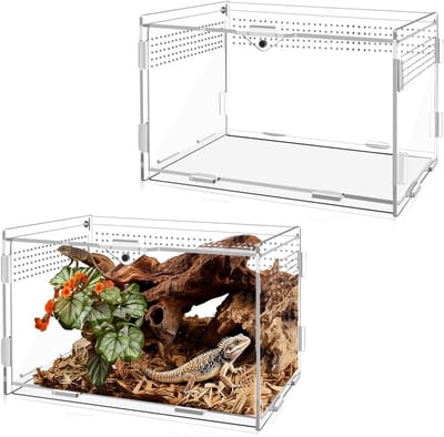 Transparant Acryl Terrarium 20 x 12 x 12 cm met Ventilatiegaten voor Spinnen, Hagedissen en Schildpadden - Ideaal als Insecten Voedselcontainer en Mini Vivarium